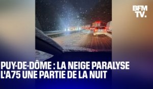 Puy-de-Dôme: les images des automobilistes bloqués plusieurs heures sur l'A75 à cause de la neige