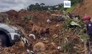 Glissement de terrain mortel en Colombie : au moins 34 morts