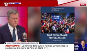 Pour Louis Aliot, Emmanuel Macron "insulte 30% de citoyens qui ont voté ou s'apprêtent à voter" pour le Rassemblement national