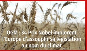 OGM : 34 Prix Nobel implorent l’Europe d’assouplir sa législation au nom du climat