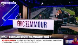 Éric Zemmour: "J'ai des désaccords fondamentaux avec le Rassemblement National"