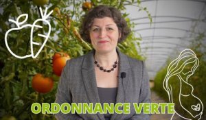 La Ville de Strasbourg pérennise l’ordonnance verte