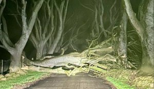 Tempête Isha : des vents à 160 km/h secouent le nord-ouest de l'Europe, un mort en Ecosse