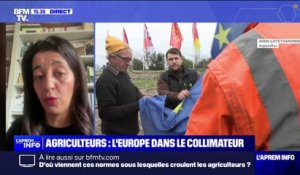 "Les normes environnementales sont là pour protéger les citoyens et nos agriculteurs", affirme Karima Delli, députée européenne (EELV)