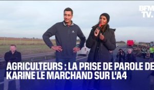 Colère des agriculteurs: la prise de parole de Karine Le Marchand sur l'A4 en intégralité
