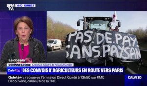 Mobilisation des agriculteurs: "On arrive au bout d'un système", pour l'ancienne ministre de l'Environnement, Corinne Lepage
