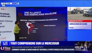 Qu'est-ce que le Mercosur?  BFMTV répond à vos questions