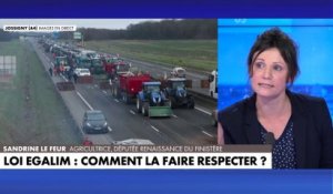 Sandrine Le Feur : «Sans Europe, nous n'aurions pas une agriculture si forte»