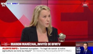Éducation nationale: "On a besoin de se recentrer sur les fondamentaux" estime Marion Maréchal (Reconquête)