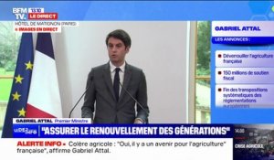 Agriculture: Gabriel Attal veut empêcher l'importation en France de fruits et légumes traités avec le pesticide thiaclopride