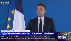 Agriculture en Europe: Emmanuel Macron veut "changer les règles" en matière d'importation de poulets ukrainiens