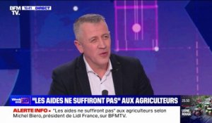Crise agricole: "Les aides ne suffiront pas", estime Michel Biero (président de Lidl France)
