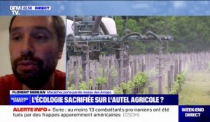Pause du plan Écophyto: "Une très mauvaise nouvelle, tant pour la société que pour les agriculteurs", estime Florent Sebban (porte-parole de l'Association pour le maintien d'une agriculture paysanne)