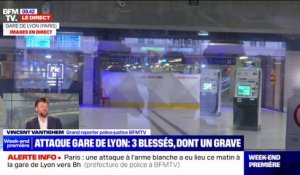 Attaque à la gare de Lyon: le profil de l'assaillant