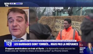 Mobilisation des agriculteurs: "On a remis la ferme au milieu du village France", affirme Cédric Nouvelot