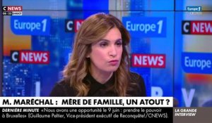 Guillaume Peltier de Reconquête, dénonce "la mode des politiques qui n'ont pas d'enfant d'Emmanuel Macron à Jordan Bardella"