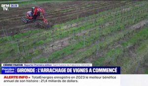 "C'est un crève-cœur": un viticulteur du Bordelais témoigne de l'arrachage de ses vignes