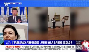 Tableau de Monet aspergé de soupe à Lyon: l'adjointe à la mairie en charge de la culture "condamne" l'action des militantes écologistes