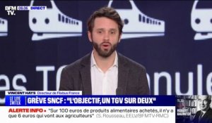 Vincent Hays (directeur de Flixbus France) sur la grève SNCF: "Hier, on a vu une hausse des réservations d'environ 15%"