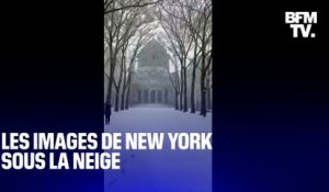Les images de New York sous une bonne couche de neige