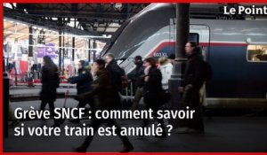 Grève SNCF : comment savoir si votre train est annulé ?