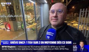 "J'ai posé deux jours pour ne pas être impacté par la grève": les usagers de la SNCF s'organisent en prévision de la grève
