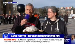 Nagui manifeste pour dénoncer les dérives de certains élevages français : "Les poulets ne peuvent plus marcher"