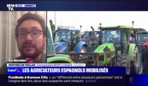 Espagne: une vingtaine de tracteurs et quelques 300 agriculteurs ont défilé devant le ministère de l'Agriculture à Madrid pour protester contre la crise qui touche le secteur