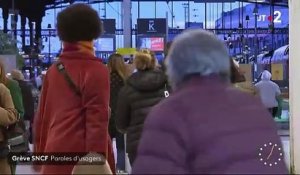 Grève des contrôleurs: Face aux fortes perturbations ce week-end à la SNCF, en plein chassé-croisé de vacanciers, les usagers ont été contraints de s’adapter - Regardez