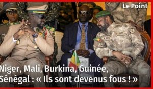 Niger, Mali, Burkina, Guinée, Sénégal : « Ils sont devenus fous ! »