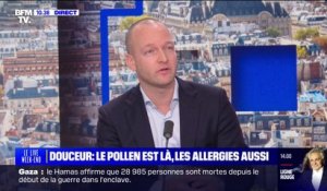 Julien Cottet, spécialiste en allergologie, détaille les symptômes que peuvent provoquer les allergies aux pollens