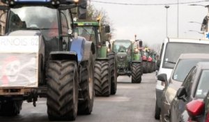 A Arras, les agriculteurs ne décolèrent pas à 48 heures du début du Salon de l'Agriculture