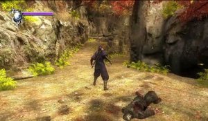 Ninja Gaiden Sigma online multiplayer - ps3