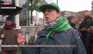 Agriculteurs à Bruxelles : des tensions et des heurts