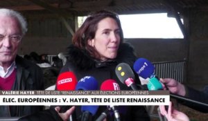 Valérie Hayer : portrait de la nouvelle tête de liste Renaissance pour les européennes