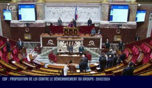 Séance publique à l'Assemblée nationale - EDF : proposition de loi contre le démembrement du groupe - 29/02/2024