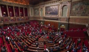 IVG dans la Constitution: suivez les débats au Congrès de Versailles