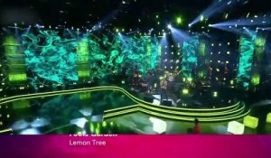 Fools Garden chante son tube "Lemon Tree" en live