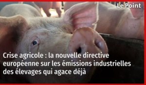 Crise agricole : la nouvelle directive européenne sur les émissions industrielles des élevages qui agace déjà