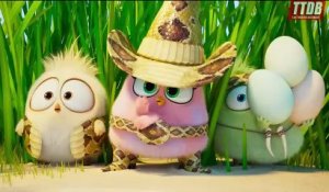 Angry Birds : Copains comme cochons Bande-annonce (IT)