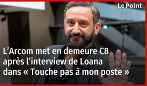 L’Arcom met en demeure C8 après l’interview de Loana dans « Touche pas à mon poste »