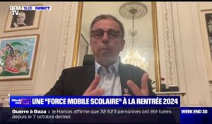 Mise en place d'une "force mobile": "Tout ce qui peut être fait en faveur d'interventions des pouvoirs publics vont dans le bon sens", déclare le maire de Bordeaux