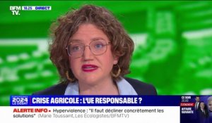 Agriculture: nous voulons que la loi "favorise ces exploitations familiales qui font la richesse de l'agriculture française et de l'Europe", affirme Marie Toussaint (Reconquête)