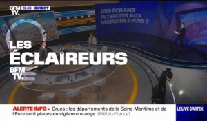 LES ÉCLAIREURS - Deux députés proposent de bannir les écrans pour les enfants de moins de 3 ans