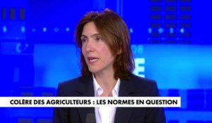 Valérie Hayer : «Je ne veux pas opposer agriculture et environnement»