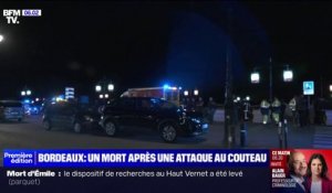 Ce que l'on sait de l'attaque au couteau qui a fait un mort et un blessé grave à Bordeaux
