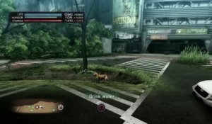 Tokyo Jungle online multiplayer - ps3