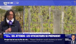Marie-Françoise Ratron (vigneronne dans le Maine-et-Loire) sur le gel attendu prochainement: "Le risque est de perdre la récolte de cette année et d'entacher celle de 2025"