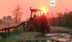 Europe : la vague de froid inquiète les agriculteurs