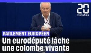 Bruxelles : un eurodéputé lâche une colombe vivante à l'intérieur du Parlement européen